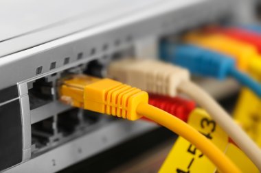 Bağlı Ethernet kabloları  