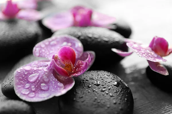 Piedras de spa y orquídeas —  Fotos de Stock