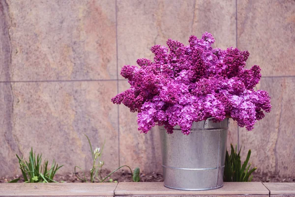 Flores lila púrpura — Foto de Stock