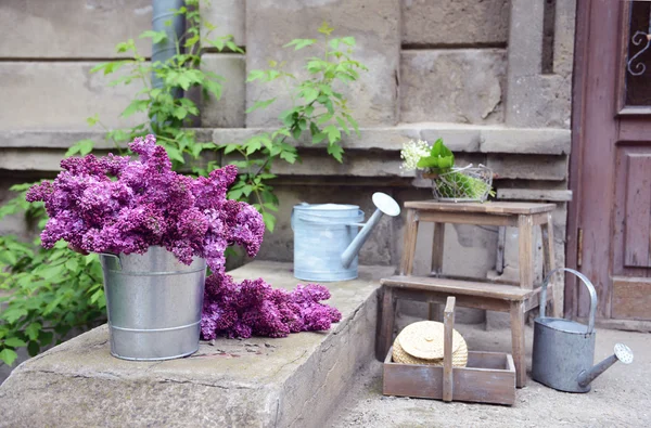 Purple lilac in metal bucket — Stock Photo, Image