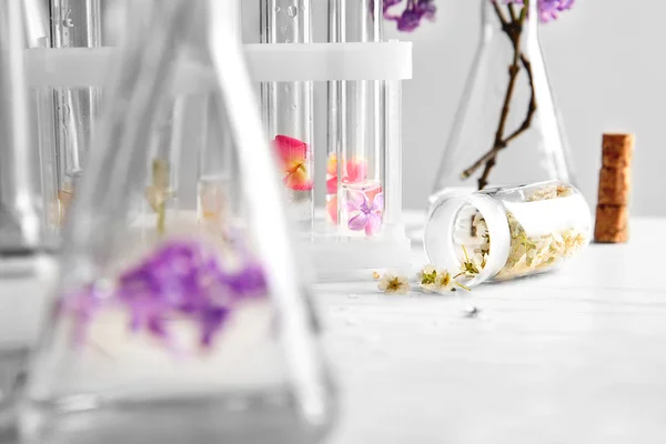 Proces van het maken van parfums — Stockfoto