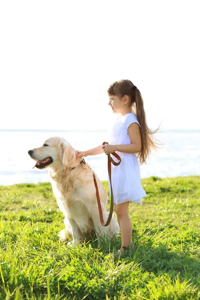 Küçük kız ve büyük tür köpek — Stok fotoğraf