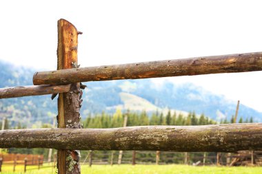 güzel Karpat Dağları 