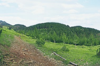 güzel Karpat Dağları 