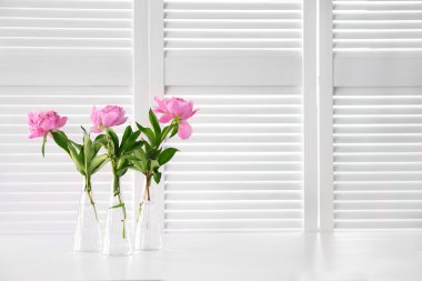 güzel Şakayık çiçekleri   