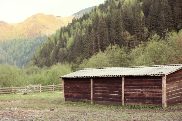 Belle montagne dei Carpazi — Foto Stock