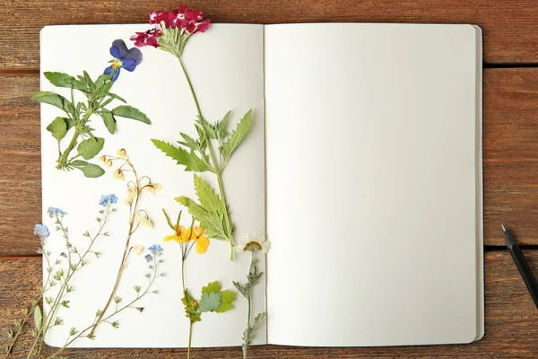 Fleurs sèches dans le carnet — Photo