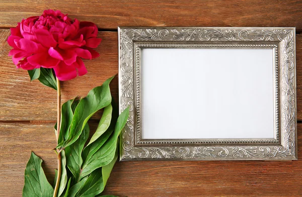 Peony flower and frame — Stock Photo, Image