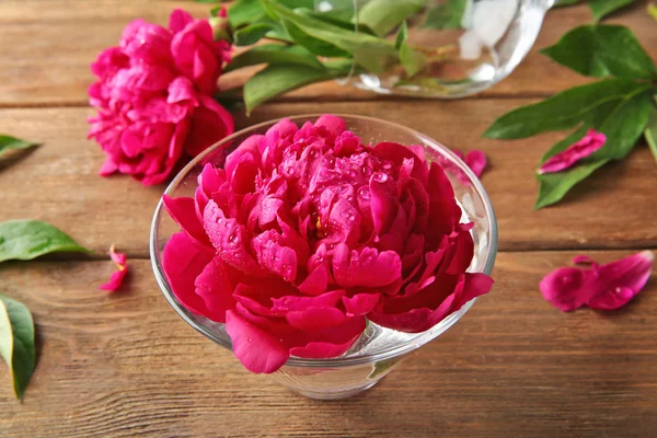 Peony flower in glass — Stock Photo, Image