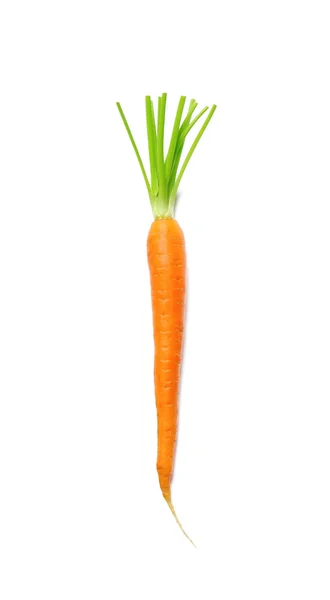 Zanahoria fresca sobre blanco — Foto de Stock