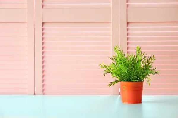 Green plant on pink folding screen — Stock Photo, Image