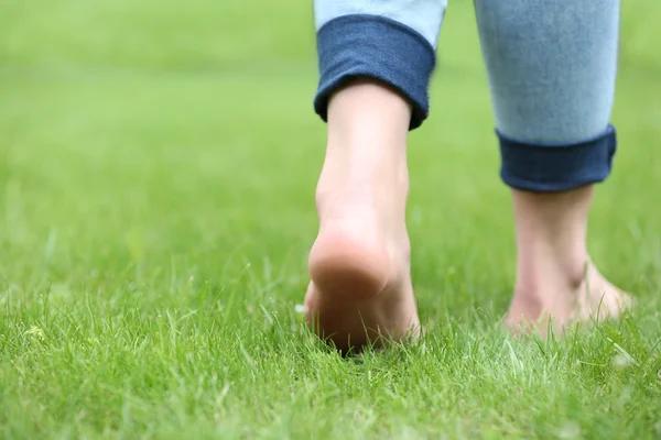 Patas sobre hierba verde —  Fotos de Stock