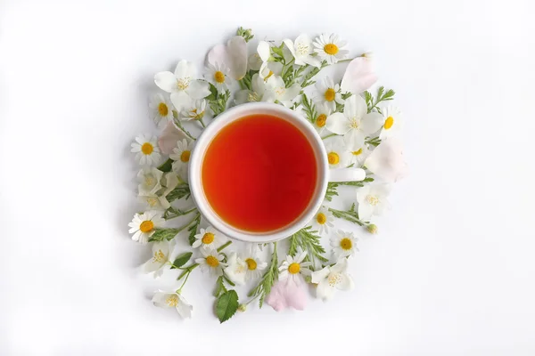 Чашка чаю зі свіжими квітами — стокове фото