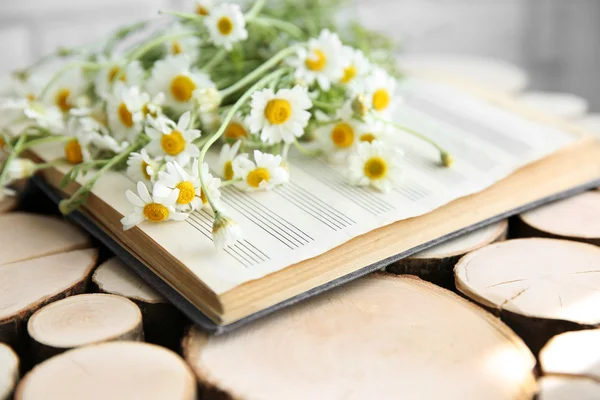 Chamomile bouquet on table — Stock Photo, Image