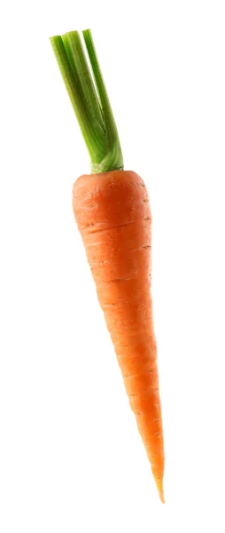 Φρέσκο καρότο, απομονωμένο — Φωτογραφία Αρχείου