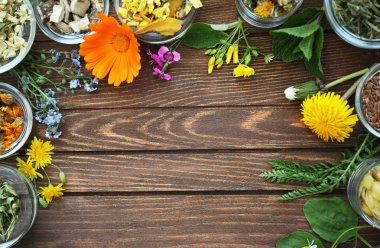 Bitki seçimi ve kase taze çiçekler