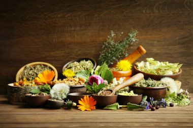 Bitki seçimi ve kase taze çiçekler