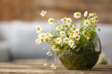 Papatya çiçek buketi