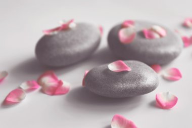 Spa taş yaprakları ile 