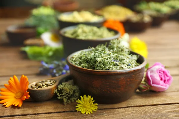 Herb urval och färska blommor i skålar — Stockfoto
