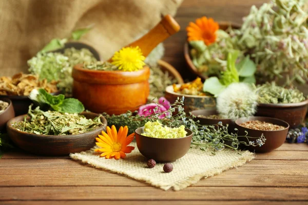 Herb selection used in herbal medicine — Stock Photo, Image