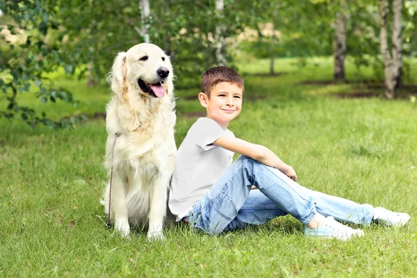 Liten pojke och söt hund i park — Stockfoto