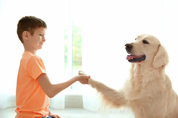 Piccolo ragazzo e simpatico cane a casa — Foto Stock