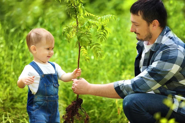 Bayi laki-laki yang lucu menanam pohon dengan orang tua di kebun — Stok Foto