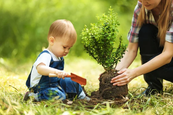 Bayi laki-laki yang lucu menanam pohon dengan orang tua di kebun — Stok Foto