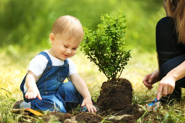 Bayi laki-laki yang lucu menanam pohon dengan orang tua di kebun — Stok Foto