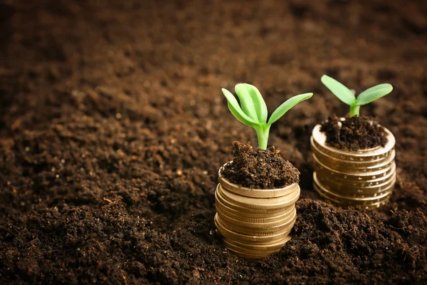 Coins in soil with young plants — Stock Photo, Image