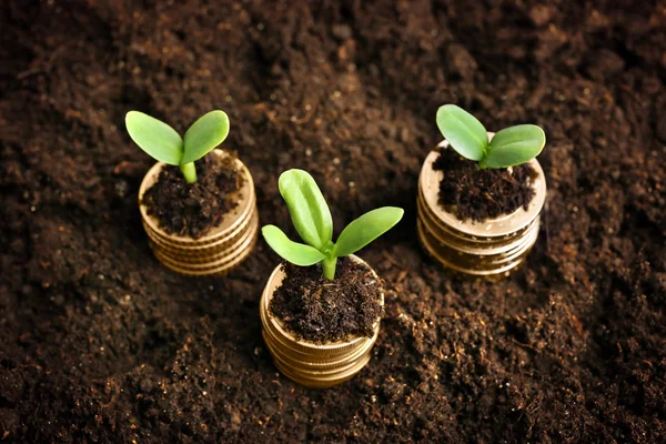 Coins in soil with young plants — Stock Photo, Image