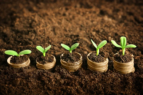 Pièces de monnaie dans le sol avec de jeunes plantes — Photo