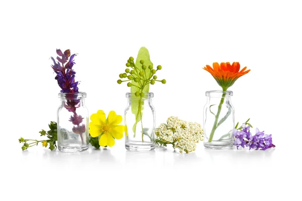 Verschillende helende bloemen — Stockfoto
