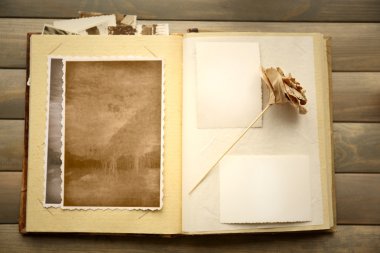 Vintage fotoğraf albümü