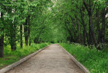 Bahar Botanik Parkı