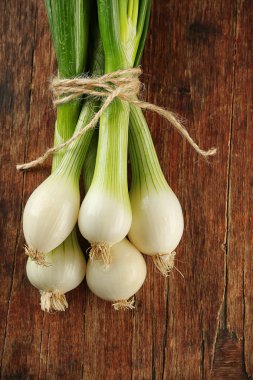 Taze taze soğan.