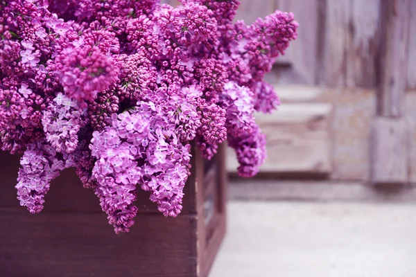 Purple lilac in box — Stock Photo, Image