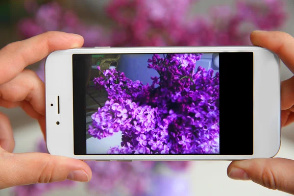 Toma de fotos de flores lila púrpura —  Fotos de Stock