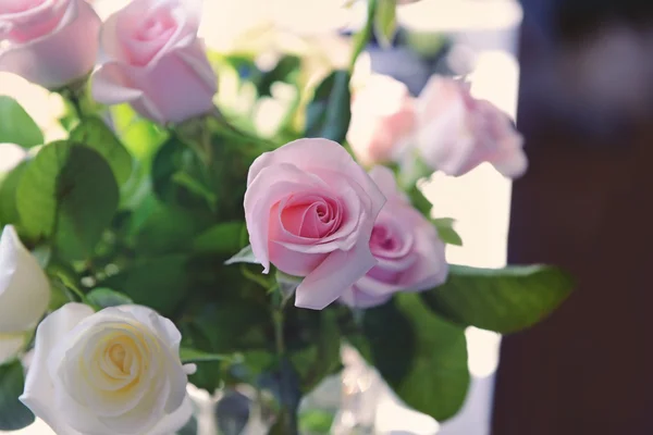 Hermosas flores de rosa — Foto de Stock