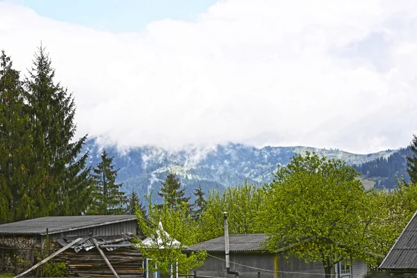 Blick auf neblige Berge — Stockfoto