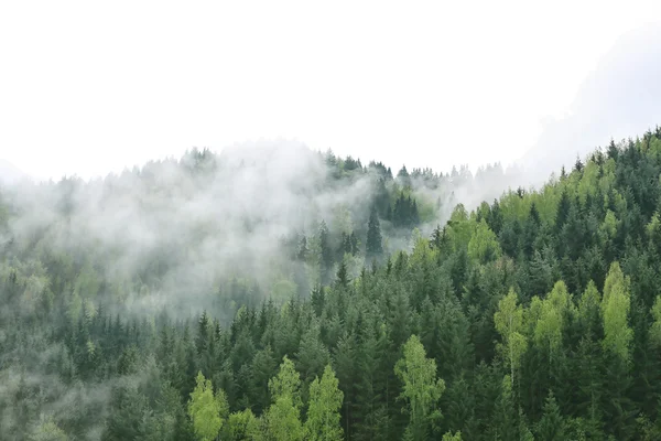 Vista delle montagne nebbiose — Foto Stock