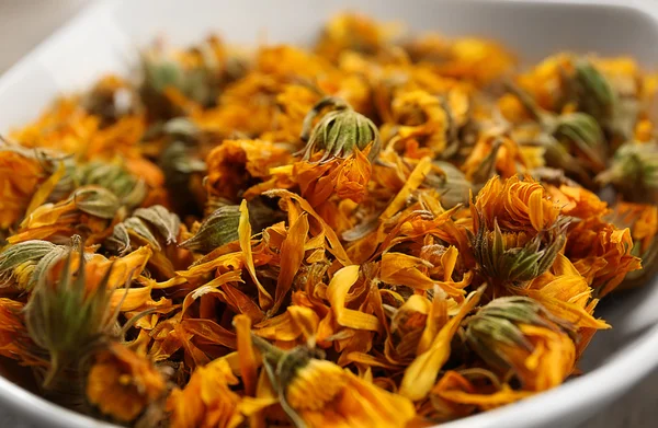 Kuru ot yakın çekim