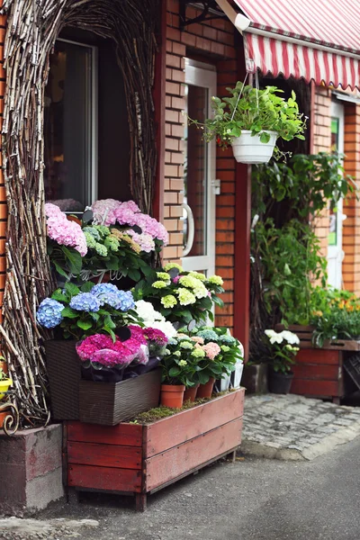 Liten blomsteraffär — Stockfoto