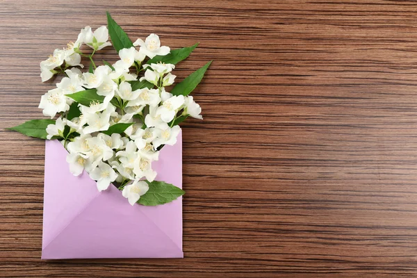 Jasmine flowers in an envelope — Stock Photo, Image