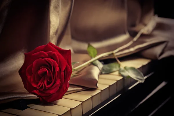 Rosa roja con piano —  Fotos de Stock