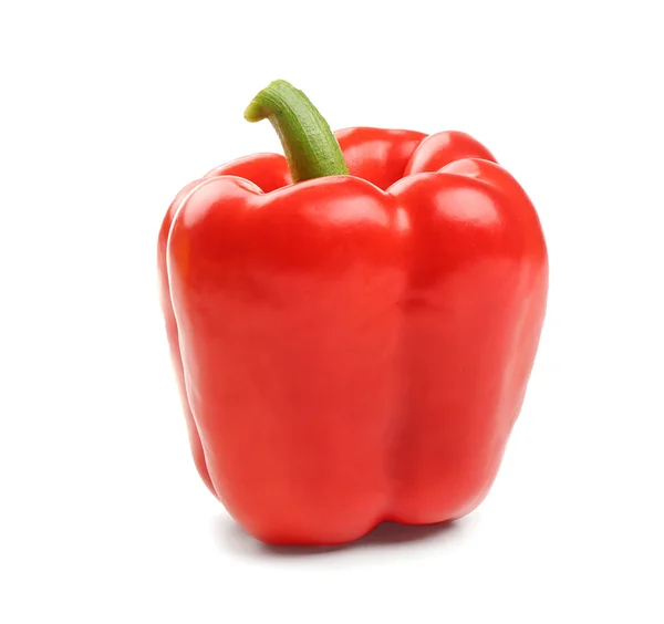 Färsk röd paprika — Stockfoto