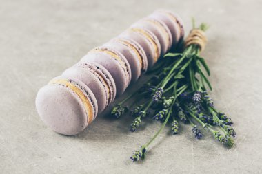 Lezzetli macaroons ve lavanta
