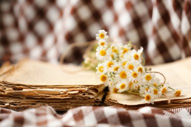 Eski kitap ile papatya buketi