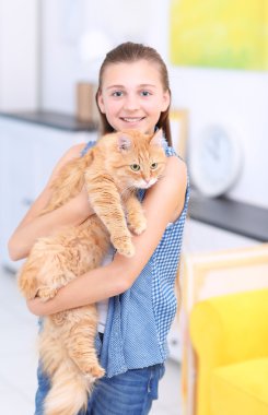 şirin zencefil kedi kız